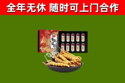 秀山回收冬虫夏草价格